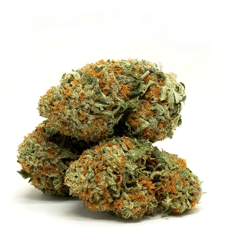 https://seattlemushroomsdelivery.com/