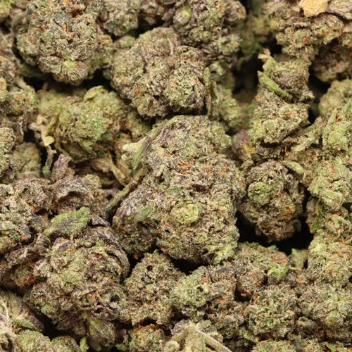 https://seattlemushroomsdelivery.com/