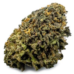 https://seattlemushroomsdelivery.com/