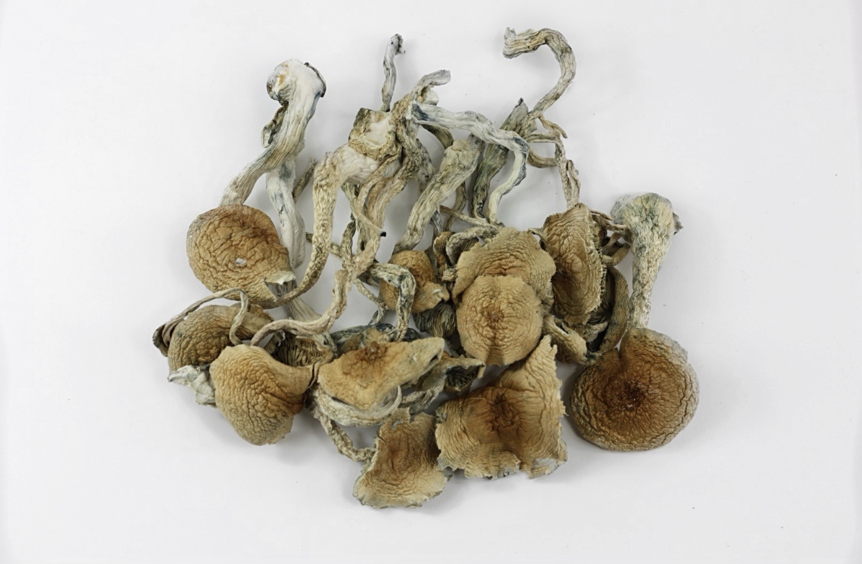 https://seattlemushroomsdelivery.com/