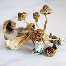 buy liberty capsvmushroom | Seattle Washington DC USA