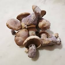 https://seattlemushroomsdelivery.com/